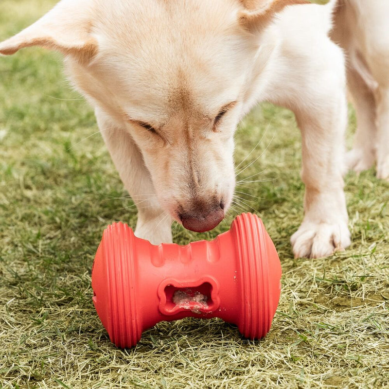 Roller SnaX: Brinquedo Interativo com Recompensas e Estímulo Mental para Cães