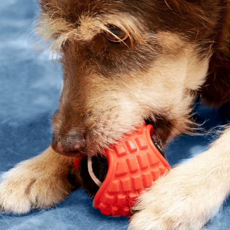 Bolacap: Bola de Tênis com Capa de Borracha para Pet, Resistente e Interativo